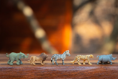 plastic animals toys on wooden surface